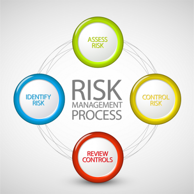 Risk Assessment Module
