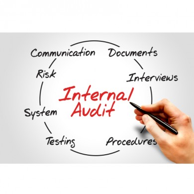 Internal Audits